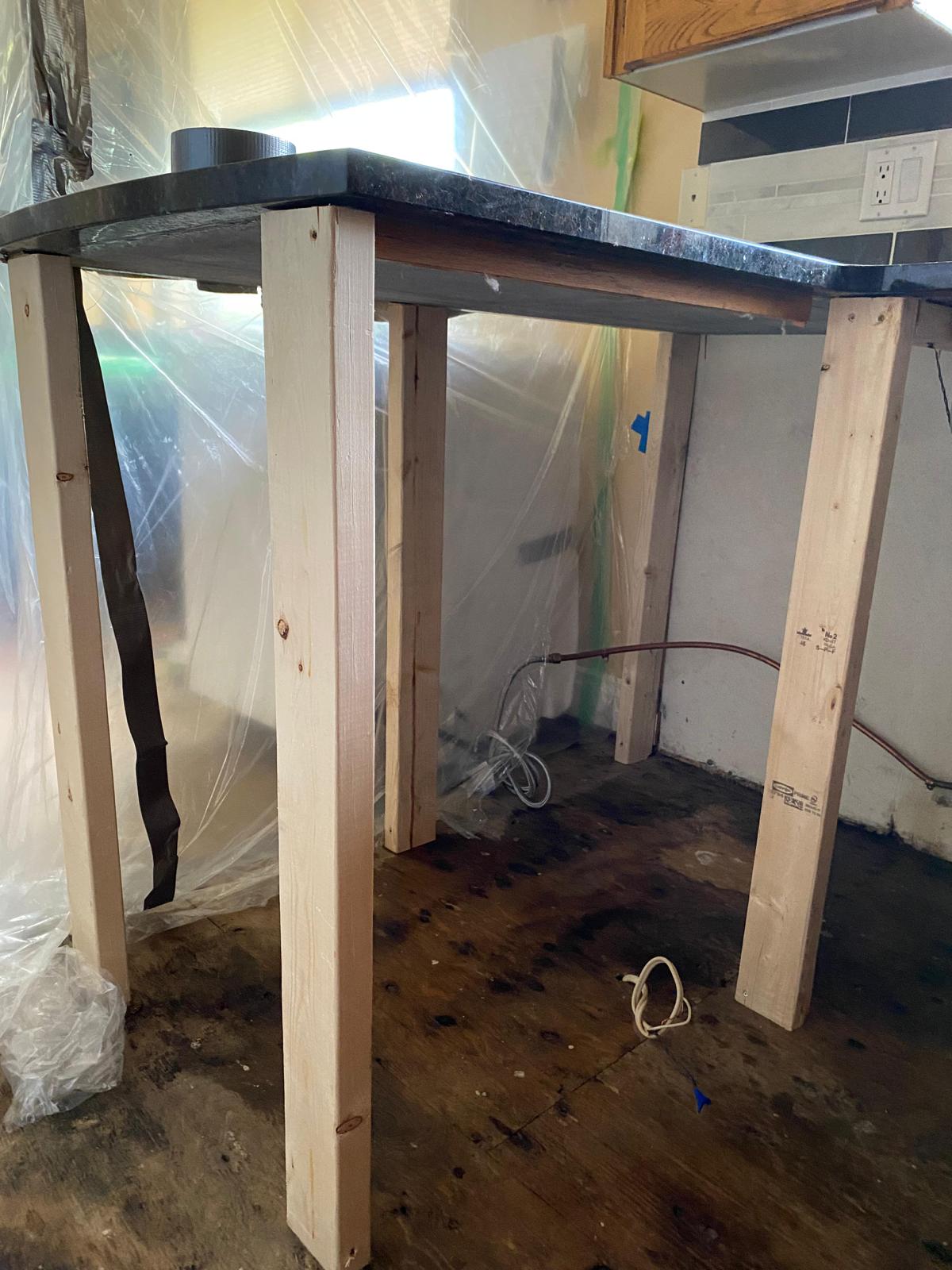 Mold Remediation